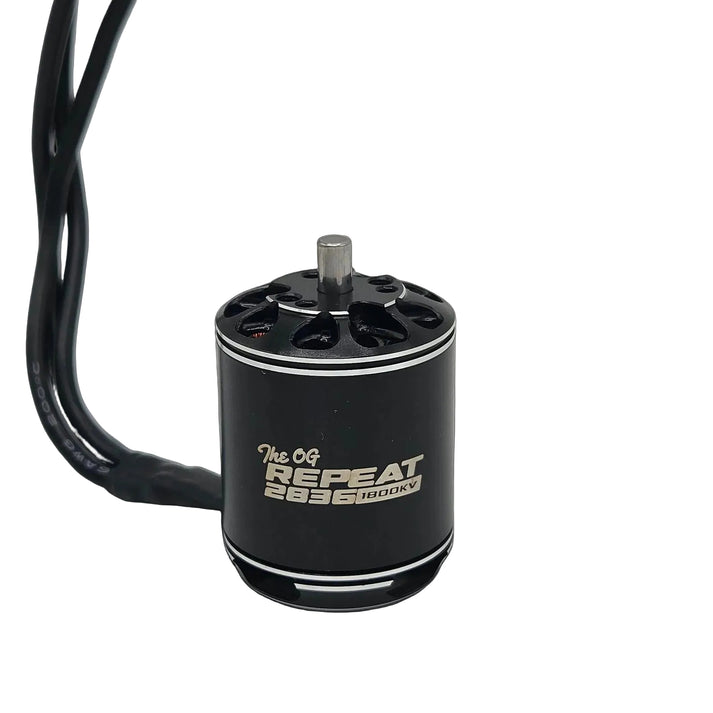 Repeat 2836 Brushless Weapon Motor for Beetles