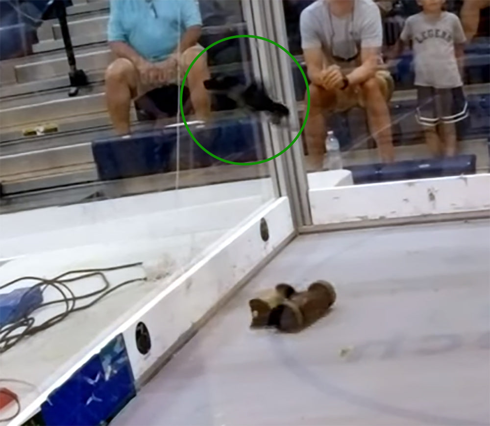 "Palm Beach Beater" One Pound Beater Bar Kit