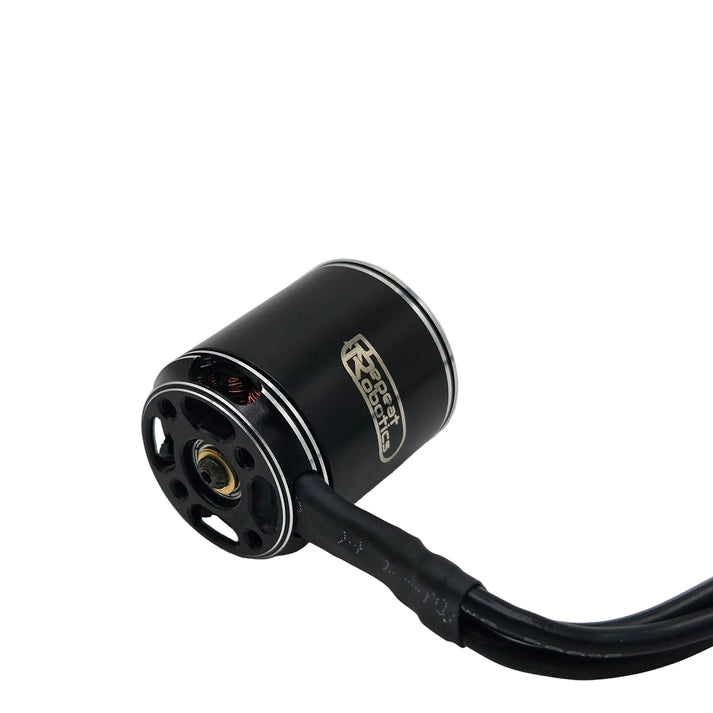 Repeat 2836 Brushless Weapon Motor for Beetles