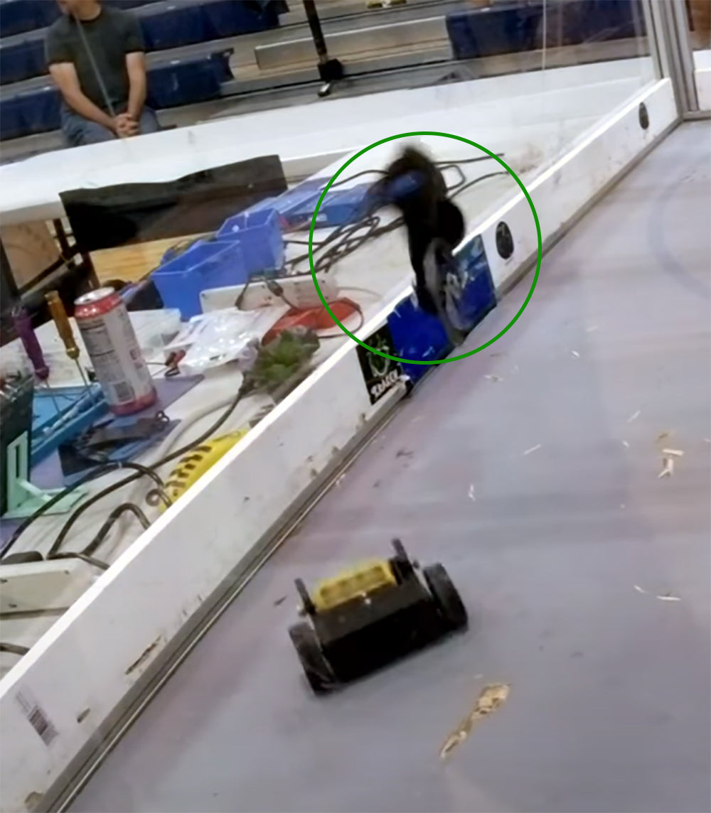 "Palm Beach Beater" One Pound Beater Bar Kit