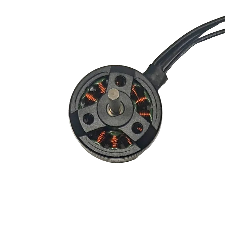 Repeat 2004 Brushless 150g Fairyweight Motor