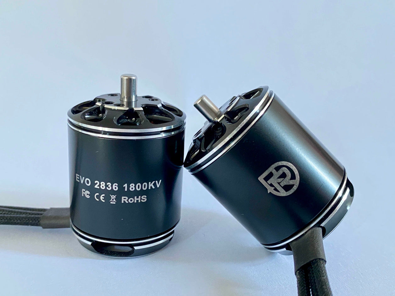 Repeat 2836 Brushless Weapon Motor for Beetles