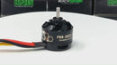 PBB D2822 Brushless Outrunner 2600KV 0.125in shaft - Upgraded